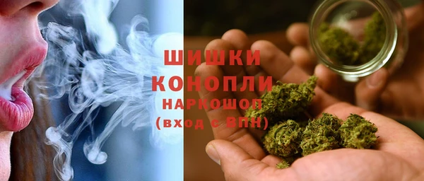 бошки Бронницы