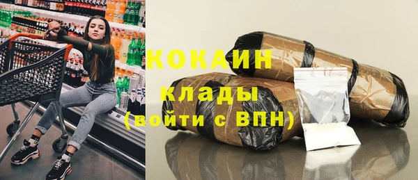 бошки Бронницы
