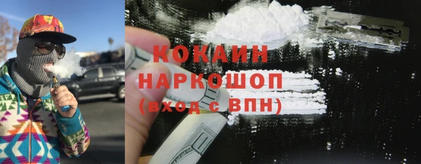 бошки Бронницы