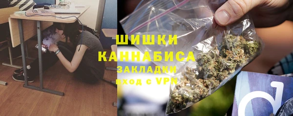 бошки Бронницы