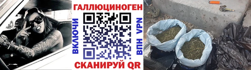 Галлюциногенные грибы Psilocybe  MEGA онион  Кириллов 